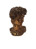 TETE DE DAVID