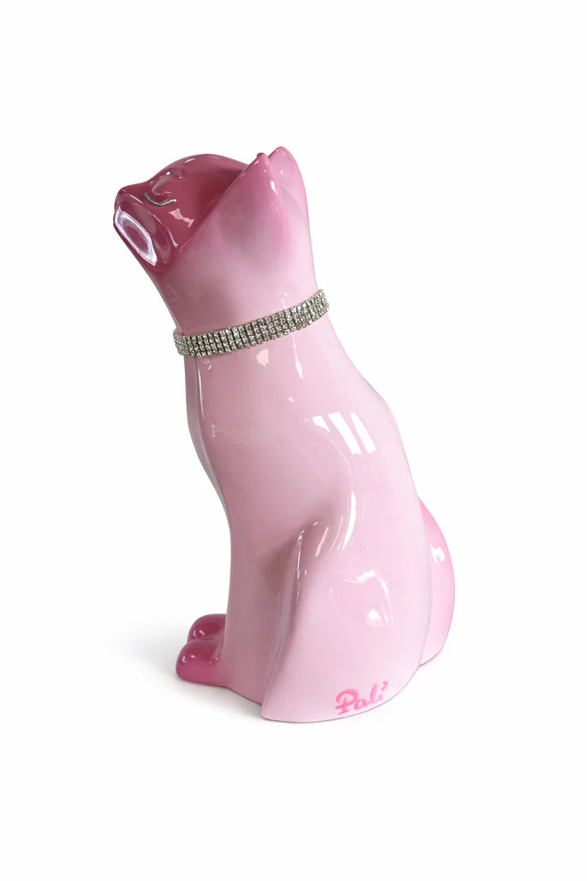° CHAT STRASS